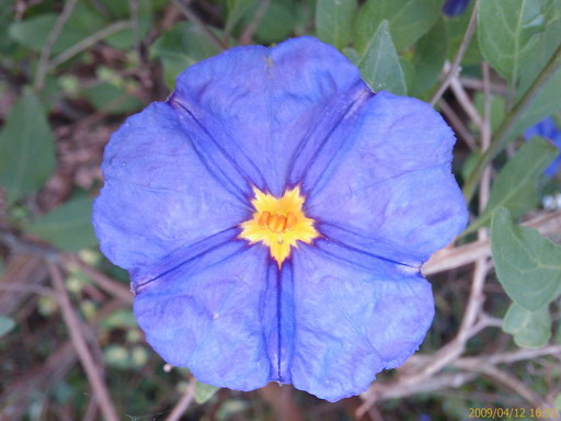 [200904121651_220.jpg]