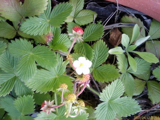 [200904121654_230.jpg]