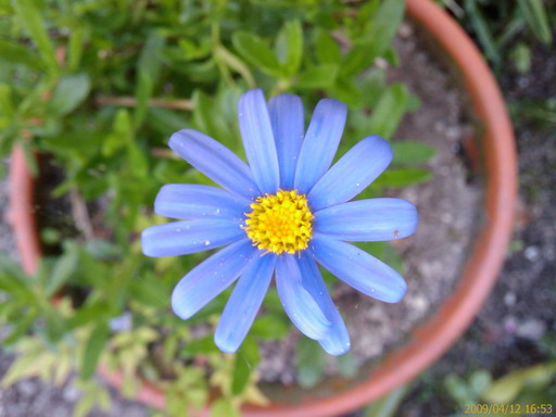 [200904121653_226.jpg]