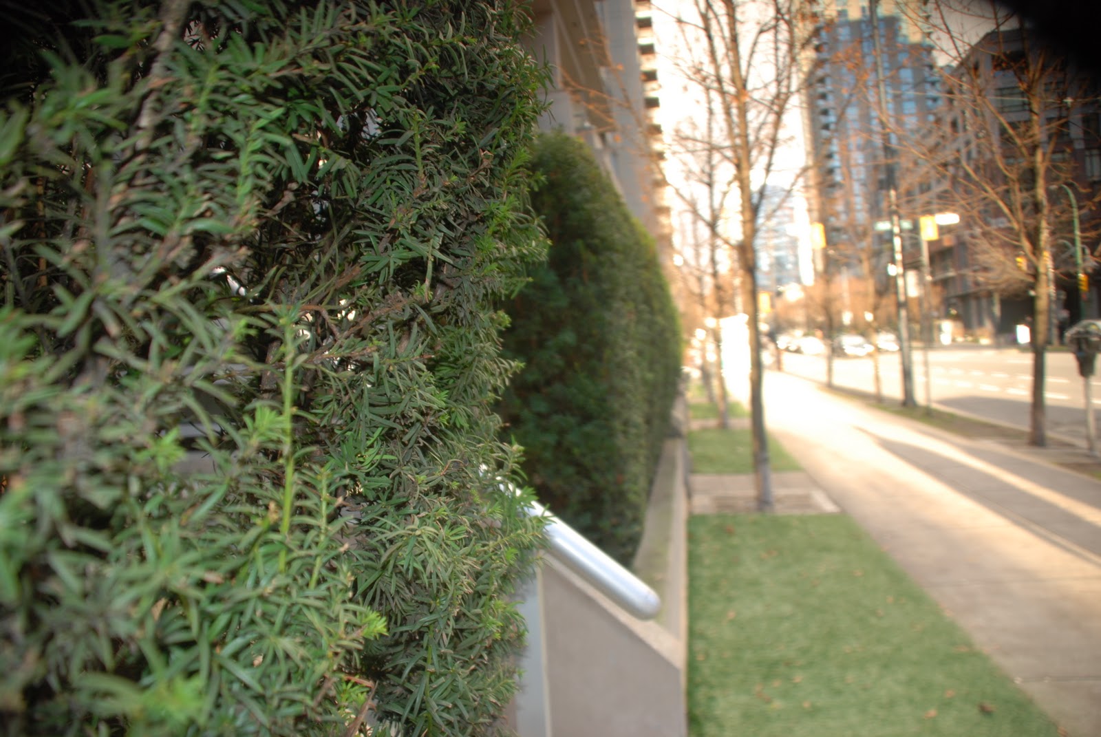 Contagious Health: January 2011