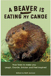 A Beaver is Eating My Canoe