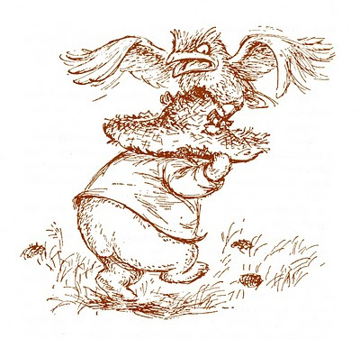 humorous animal illustration - australian childrens book