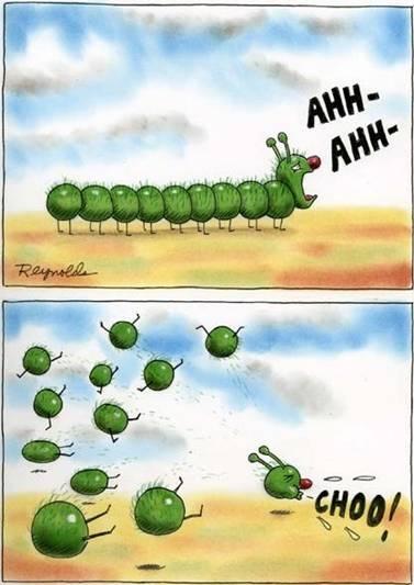 [Lagarta%20Constipada.jpg]