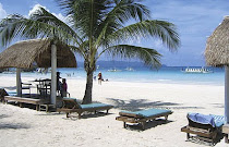 Travel Tourism International