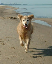 Indiana Walker