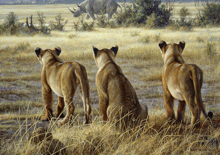 [PassingFancyLionCubsRhino.jpg]