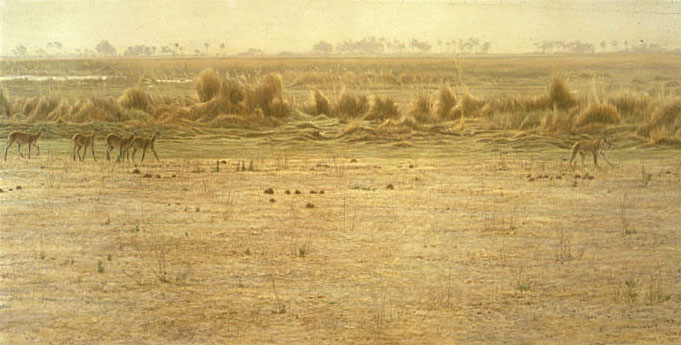 [PeacableKingdomLion.jpg]