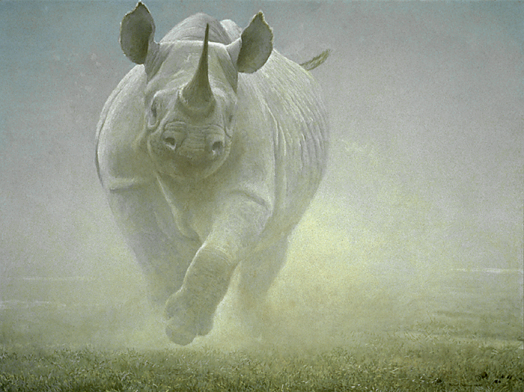 [PowerPlayRhinoceros.jpg]