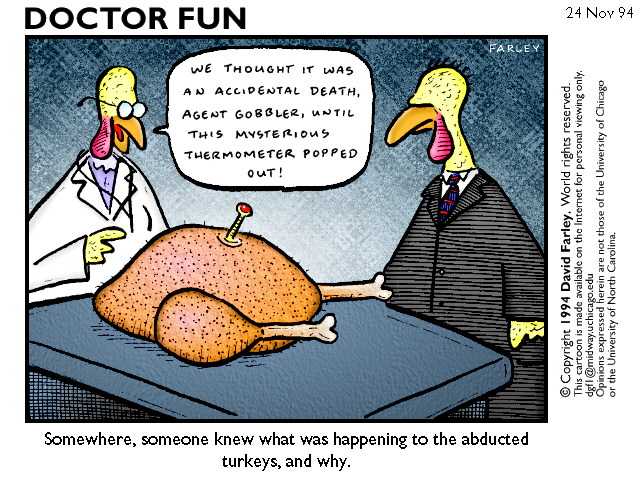 [abductedturkey1.jpg]