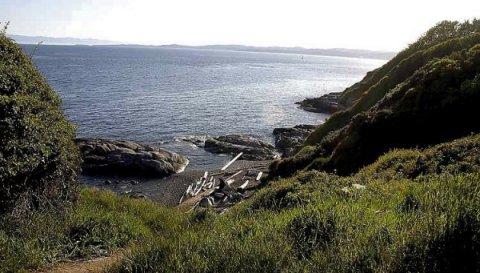 [HollandClover_0n705.jpg]