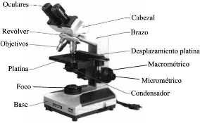 Aumentar patio Vaticinador operar equipo de laboratorio 2lv: Partes del microscopio compuesto