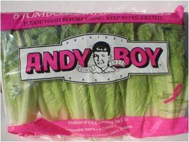 andy boy romaine hearts andy boy romaine hearts