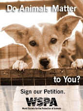 Help Stop Animal Suffering
