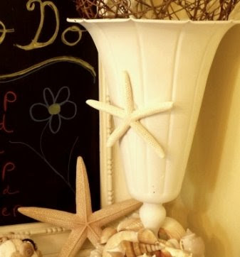 starfish on vase
