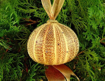 Sea Urchin Ornament