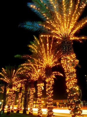 Christmas Light Displays -Coastal Towns USA - Coastal 