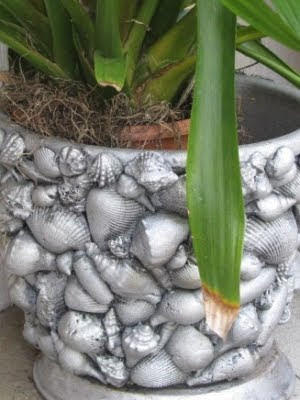 shell planters