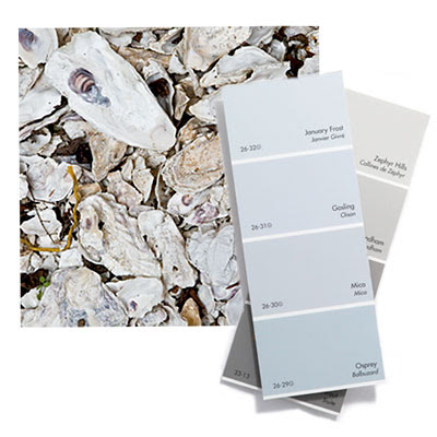 shell colors for decor inspiration