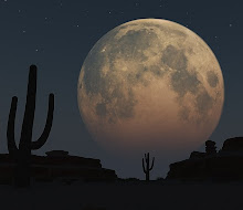 Desert Moon Doulas