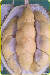 Buah Durian Menoreh Kuning