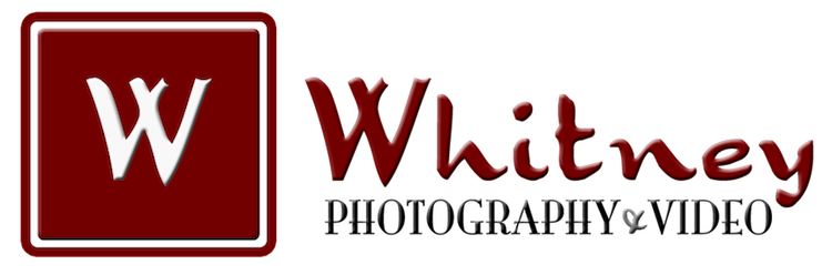 Charlotte Wedding Photographer Blog - Whitney Photography & Video