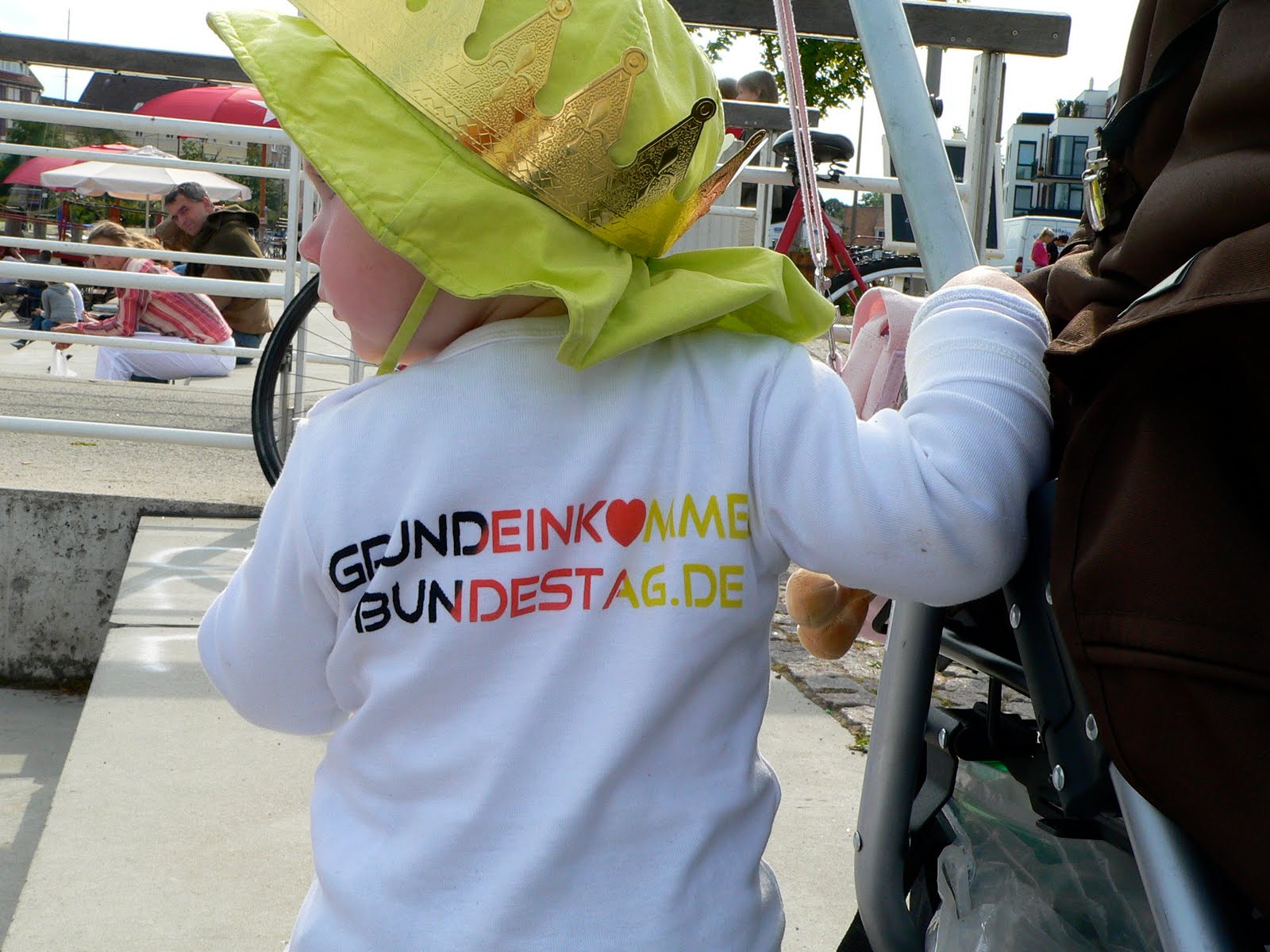 Grundeinkommen im Bundestag, Ideenpool für die Anhörung