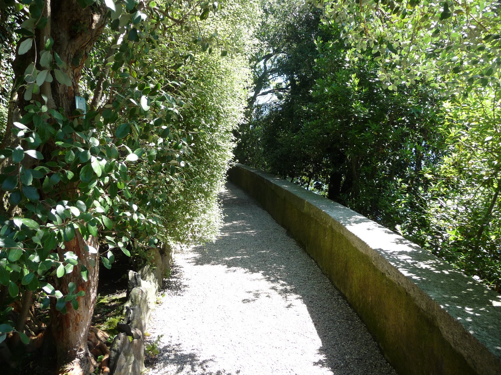 Ich mache Pause bis 11.11.09