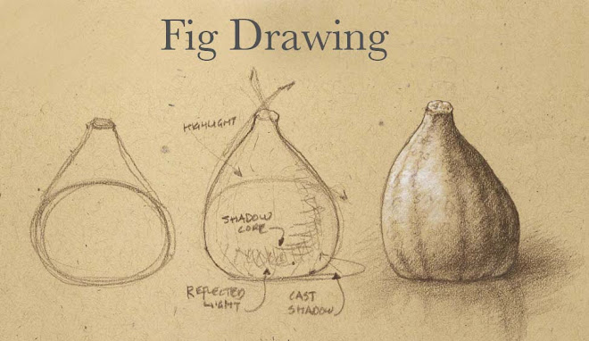 Fig Drawing