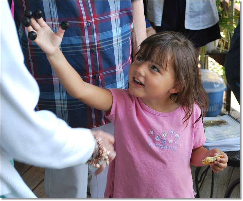 Ways I See the World Wordless Wednesday 080509 The Olive Girl