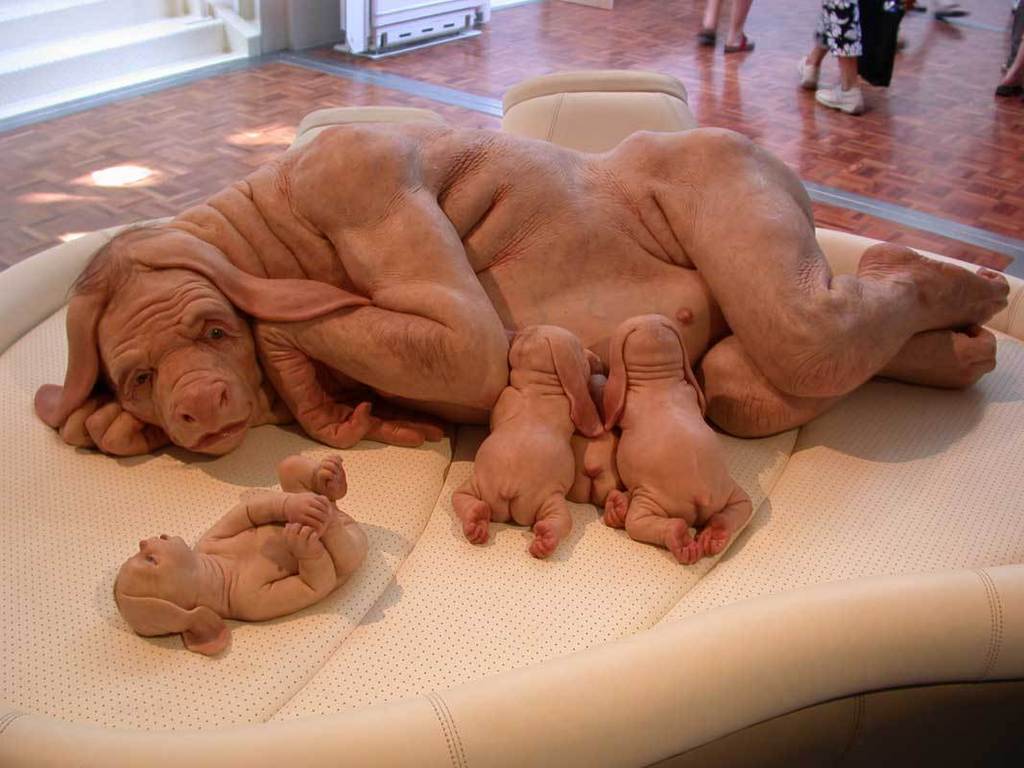 Foot News Lunch Club Is An Alien Chimera Foot Is An Alien Chimera Grizzly Human Hybrid