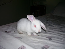 conejo emo!!!!!(al horno)
