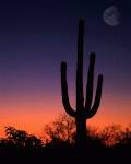 Arizona twilight skyline color photograph