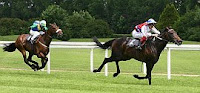color photograph of horse racing