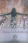 A color photo of the front cover of 'Magic or Madness' by Justine Larbalestier.