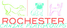 canine playgroups