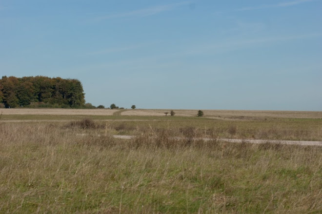 Salisbury Plain