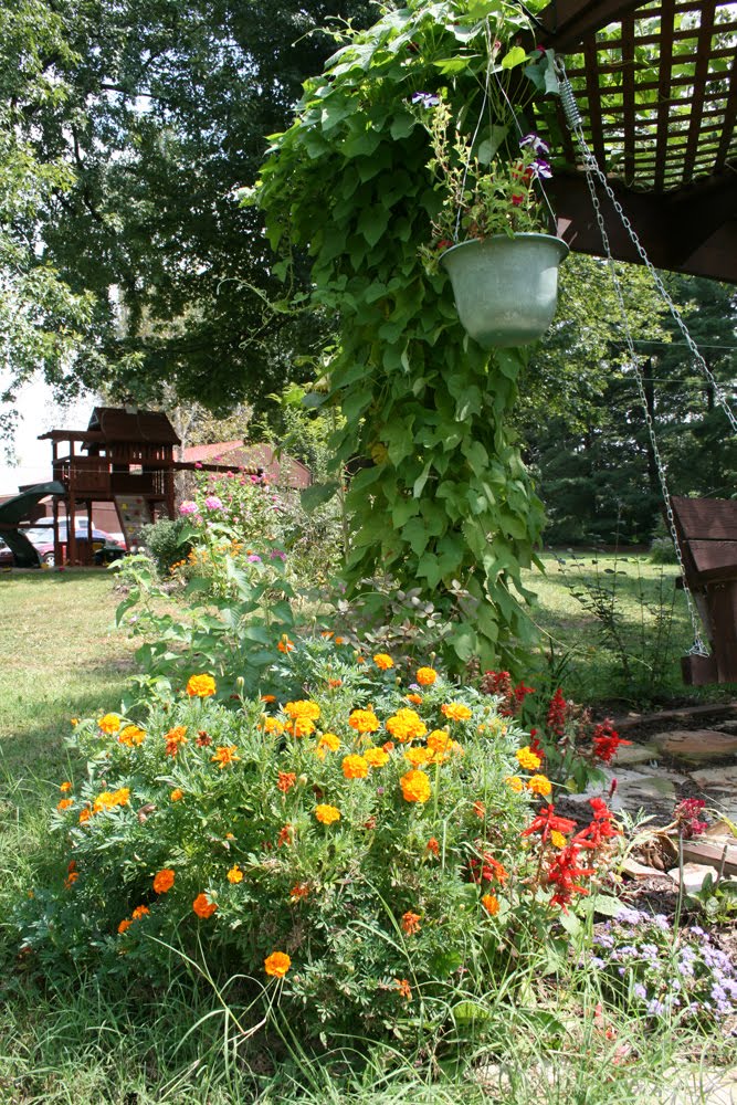 [swing_4611.jpg]