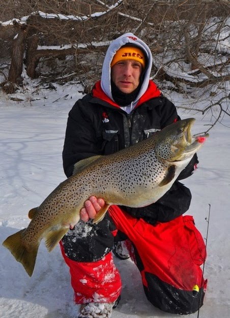 [RiverBrown11001-3.jpg]