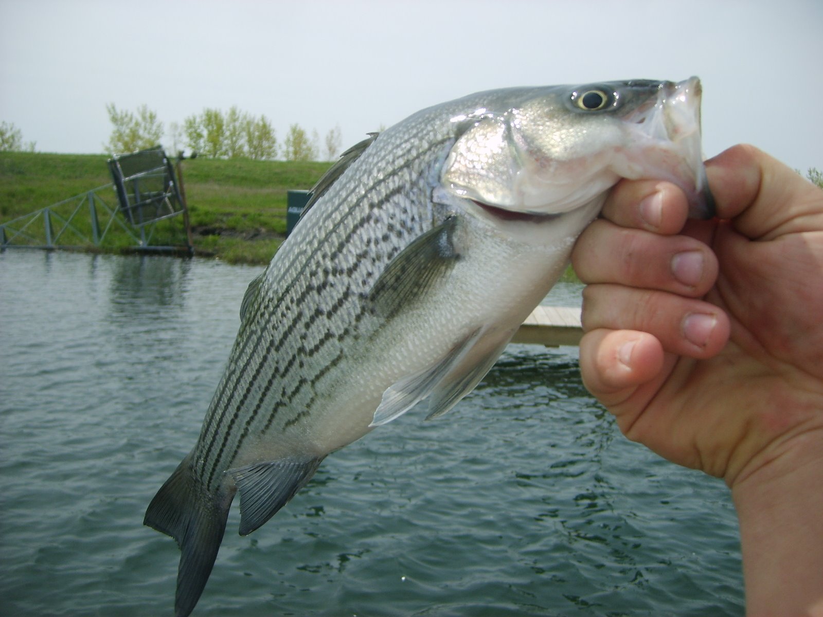 [Fishing+at+the+Lake+107.JPG]