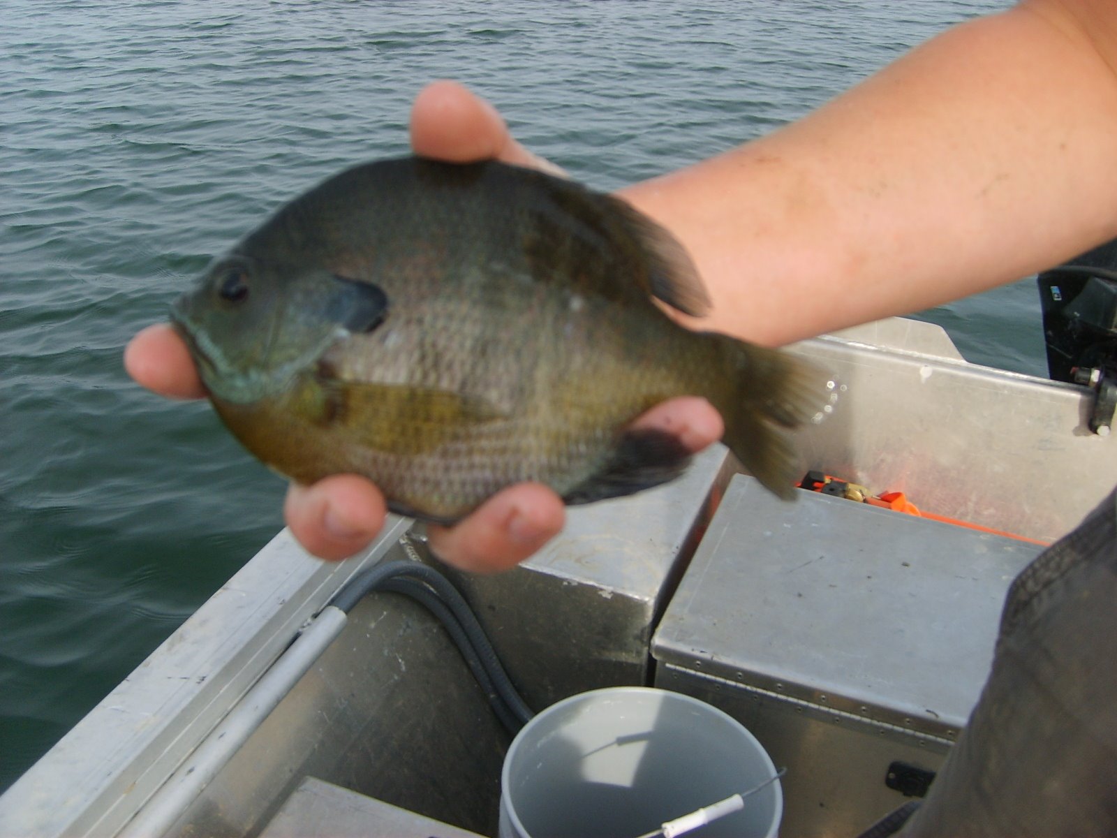 [Fishing+at+the+Lake+095.JPG]