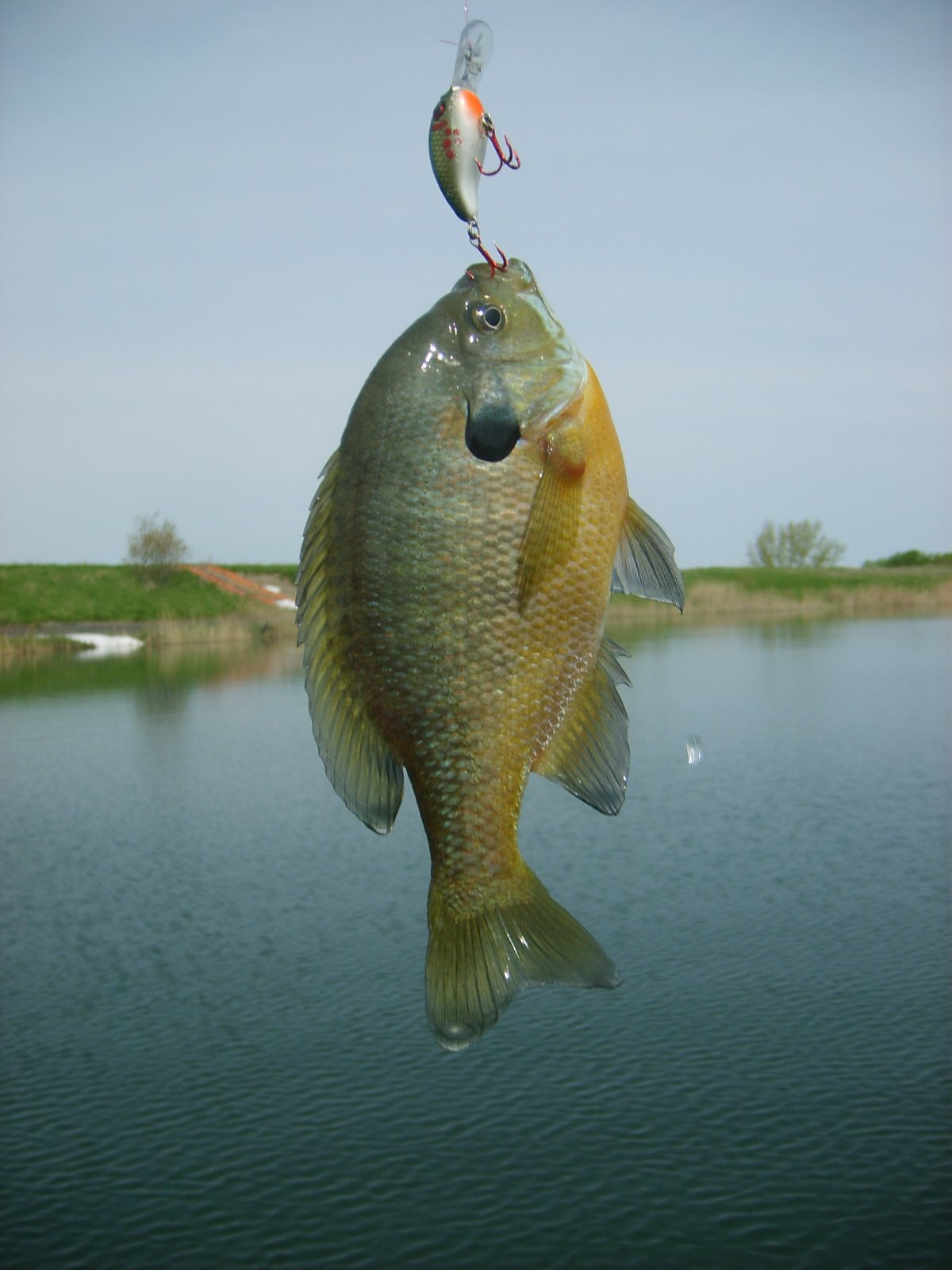 [Fishing+at+the+Lake+111.JPG]