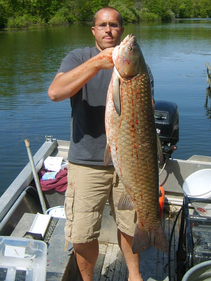 [electro+pond+shocking+pics+030.JPG]