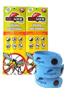 11/23/10 - Galon Info Kita Bersama