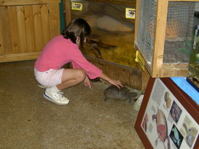 [Picture+013+(2).jpg]