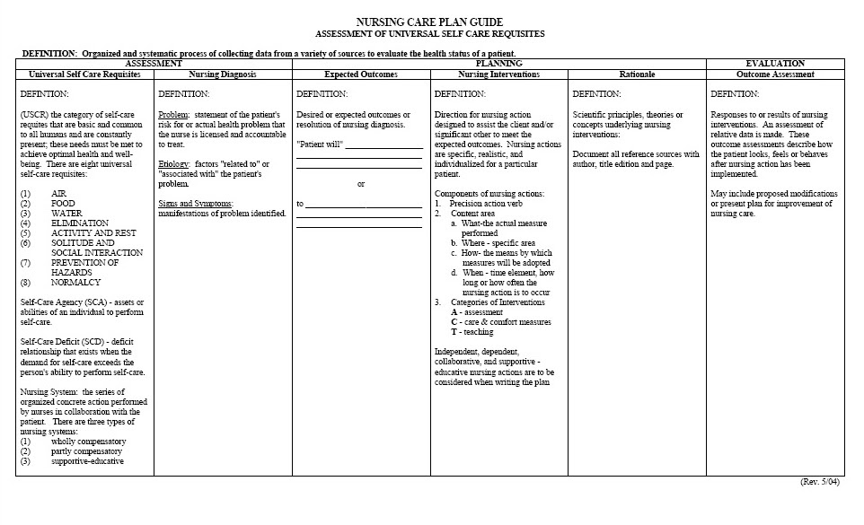 Blank Nursing Care Plan Templates