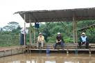 mancing di indonesia
