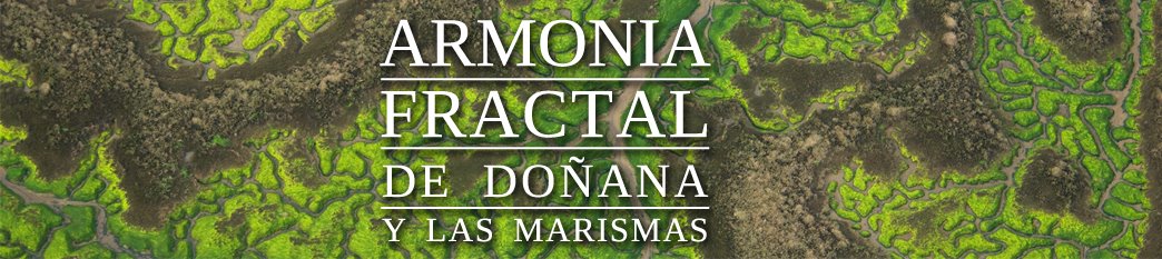 Armonia fractal de Doñana y las marismas