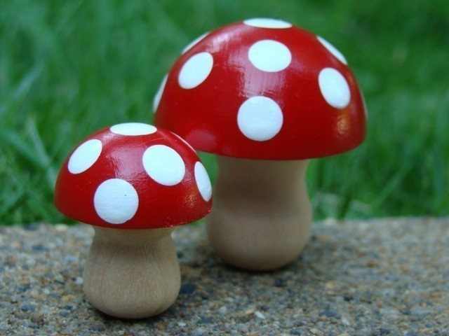 The Indie Garden Guide: *CUTE* garden accessories