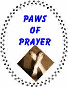We joined the Paws of Prayer