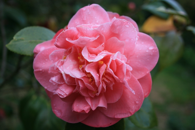 [2008.04.12+2+030.jpg]